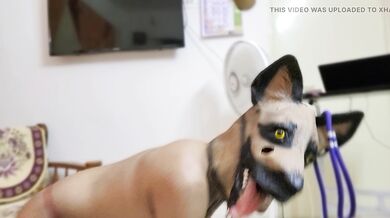 My Pet I Love My Pet