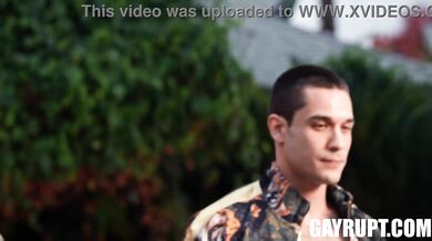 Rods Room Andrew Miller, Dante Colle