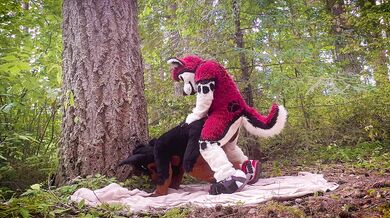 Wild amateur fursuit with a risky public bareback adventure