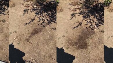 Watch this hot amateur guy indulge in kinky outdoor piss fetish in public