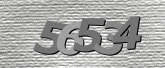 Captcha resmi